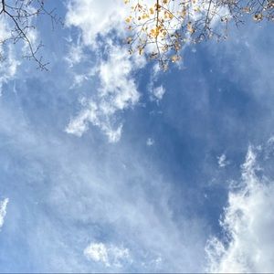 Meet your Posher, Almira